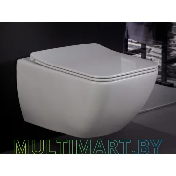 Унитаз Villeroy & Boch Venticello (4611RS01) картинка 2